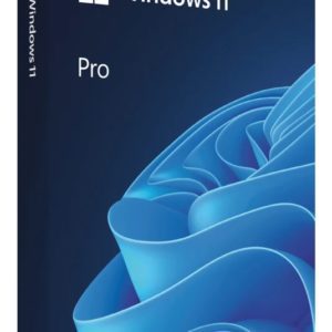 Microsoft Windows 11 Pro